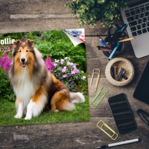 2023 2024 Collie Calendar - Dog Breed Monthly Wall Calendar - 12 x 24 Open - Thick No-Bleed Paper - Giftable - Academic Teacher's Planner Calendar Organizing & Planning - Made in USA