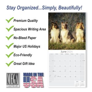 2023 2024 Collie Calendar - Dog Breed Monthly Wall Calendar - 12 x 24 Open - Thick No-Bleed Paper - Giftable - Academic Teacher's Planner Calendar Organizing & Planning - Made in USA