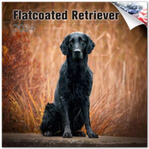 2023 2024 flat-coated retriever calendar - dog breed monthly wall calendar - 12 x 24 open - thick no-bleed paper - giftable - academic teacher's planner calendar organizing & planning - made in usa