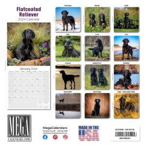 2023 2024 Flat-Coated Retriever Calendar - Dog Breed Monthly Wall Calendar - 12 x 24 Open - Thick No-Bleed Paper - Giftable - Academic Teacher's Planner Calendar Organizing & Planning - Made in USA