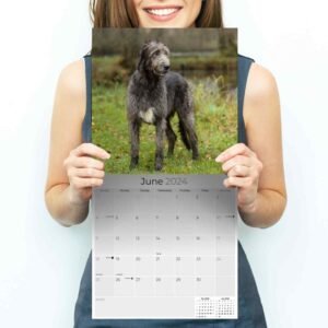 2023 2024 Irish Wolfhound Calendar - Dog Breed Monthly Wall Calendar - 12 x 24 Open - Thick No-Bleed Paper - Giftable - Academic Teacher's Planner Calendar Organizing & Planning - Made in USA