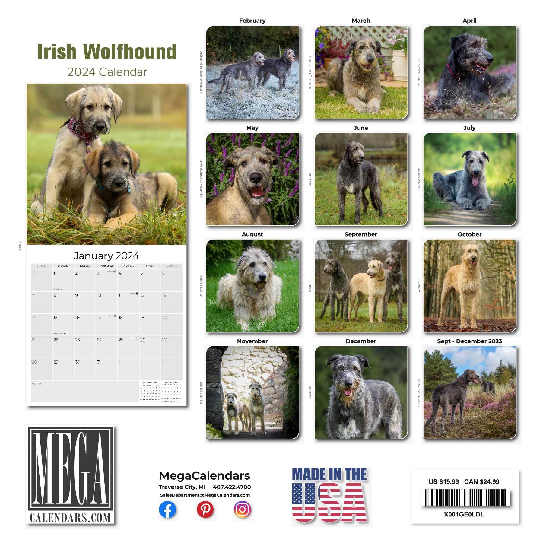 2023 2024 Irish Wolfhound Calendar - Dog Breed Monthly Wall Calendar - 12 x 24 Open - Thick No-Bleed Paper - Giftable - Academic Teacher's Planner Calendar Organizing & Planning - Made in USA