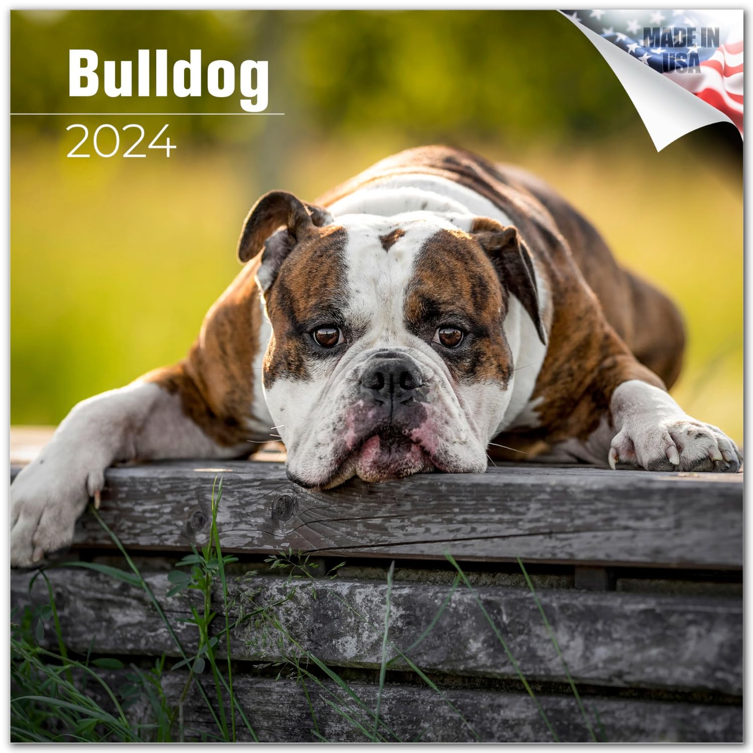 2023 2024 Bulldog Calendar - Dog Breed Monthly Wall Calendar - 12 x 24 Open - Thick No-Bleed Paper - Giftable - Academic Teacher's Planner Calendar Organizing & Planning - Made in USA