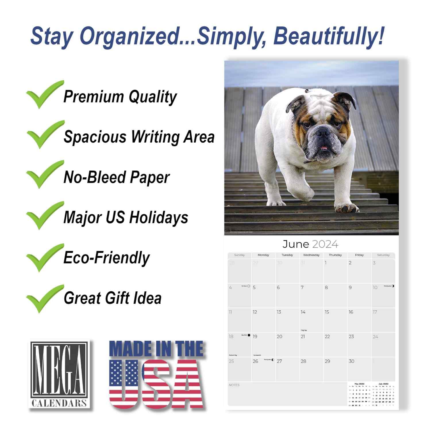 2023 2024 Bulldog Calendar - Dog Breed Monthly Wall Calendar - 12 x 24 Open - Thick No-Bleed Paper - Giftable - Academic Teacher's Planner Calendar Organizing & Planning - Made in USA