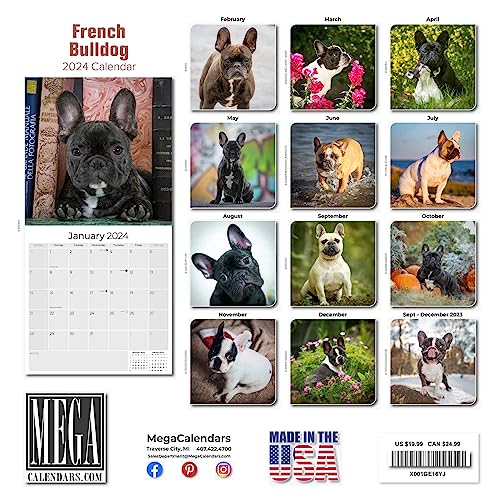 2023 2024 French Bulldog Calendar - Dog Breed Monthly Wall Calendar - 12 x 24 Open - Thick No-Bleed Paper - Giftable - Academic Teacher's Planner Calendar Organizing & Planning - Made in USA