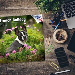 2023 2024 French Bulldog Calendar - Dog Breed Monthly Wall Calendar - 12 x 24 Open - Thick No-Bleed Paper - Giftable - Academic Teacher's Planner Calendar Organizing & Planning - Made in USA