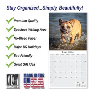 2023 2024 French Bulldog Calendar - Dog Breed Monthly Wall Calendar - 12 x 24 Open - Thick No-Bleed Paper - Giftable - Academic Teacher's Planner Calendar Organizing & Planning - Made in USA