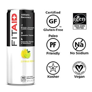 FITAID Recovery Blend, BCAAs, Glucosamine, Electrolytes, Green Tea, 100% Clean, Paleo, B-Complex, Vegan & Gluten-Free, No Sucralose, 12-oz. cans (Pack of 12)