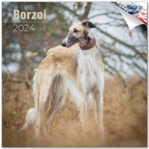 2023 2024 borzoi calendar - dog breed monthly wall calendar - 12 x 24 open - thick no-bleed paper - giftable - academic teacher's planner calendar organizing & planning - made in usa