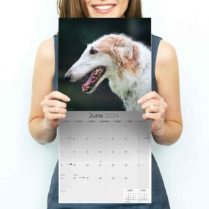 2023 2024 Borzoi Calendar - Dog Breed Monthly Wall Calendar - 12 x 24 Open - Thick No-Bleed Paper - Giftable - Academic Teacher's Planner Calendar Organizing & Planning - Made in USA