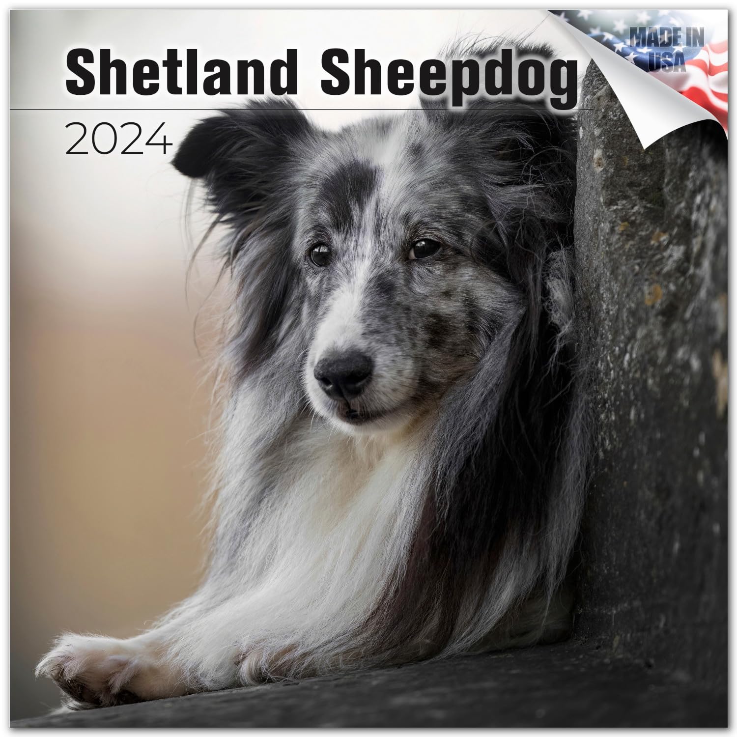 2023 2024 Shetland Sheepdog Calendar - Dog Breed Monthly Wall Calendar - 12 x 24 Open - Thick No-Bleed Paper - Giftable - Academic Teacher's Planner Calendar Organizing & Planning - Made in USA