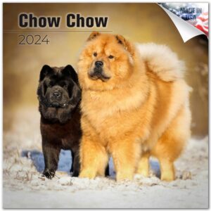 2023 2024 Chow Chow Calendar - Dog Breed Monthly Wall Calendar - 12 x 24 Open - Thick No-Bleed Paper - Giftable - Academic Teacher's Planner Calendar Organizing & Planning - Made in USA