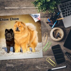 2023 2024 Chow Chow Calendar - Dog Breed Monthly Wall Calendar - 12 x 24 Open - Thick No-Bleed Paper - Giftable - Academic Teacher's Planner Calendar Organizing & Planning - Made in USA