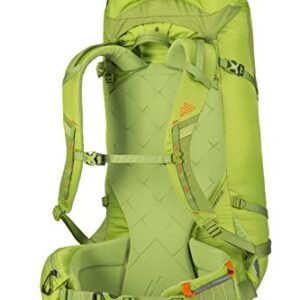 Gregory Mountain Products Alpinisto 50 Alpine Backpack, Lichen Green, Large
