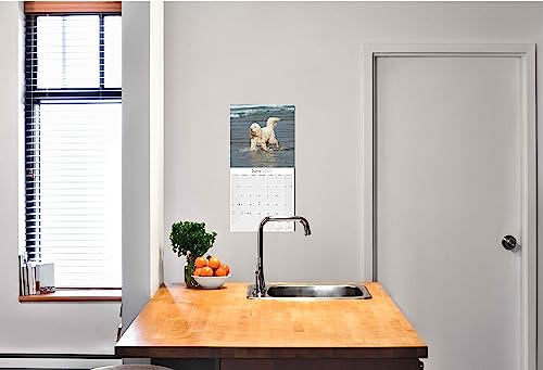 2023 2024 Labradoodle Calendar - Dog Breed Monthly Wall Calendar - 12 x 24 Open - Thick No-Bleed Paper - Giftable - Academic Teacher's Planner Calendar Organizing & Planning - Made in USA