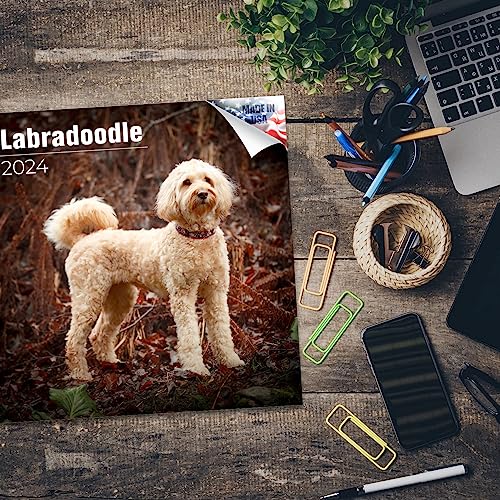 2023 2024 Labradoodle Calendar - Dog Breed Monthly Wall Calendar - 12 x 24 Open - Thick No-Bleed Paper - Giftable - Academic Teacher's Planner Calendar Organizing & Planning - Made in USA