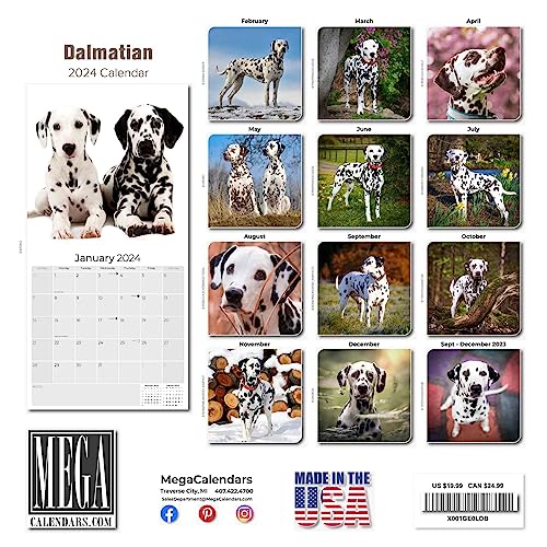 2023 2024 Dalmatian Calendar - Dog Breed Monthly Wall Calendar - 12 x 24 Open - Thick No-Bleed Paper - Giftable - Academic Teacher's Planner Calendar Organizing & Planning - Made in USA