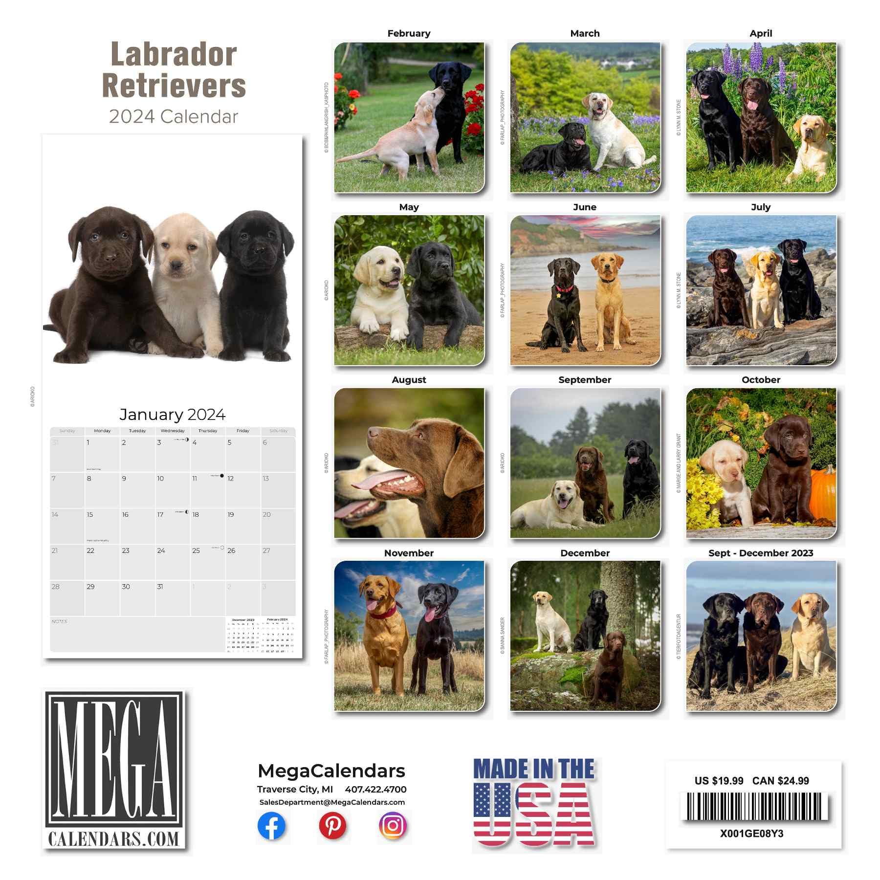 2023 2024 Labrador Retriever Calendar Mixed - Dog Breed Monthly Wall Calendar - 12 x 24 Open - Thick No-Bleed Paper - Giftable - Academic Teacher's Planner Calendar Organizing & Planning - Made in USA