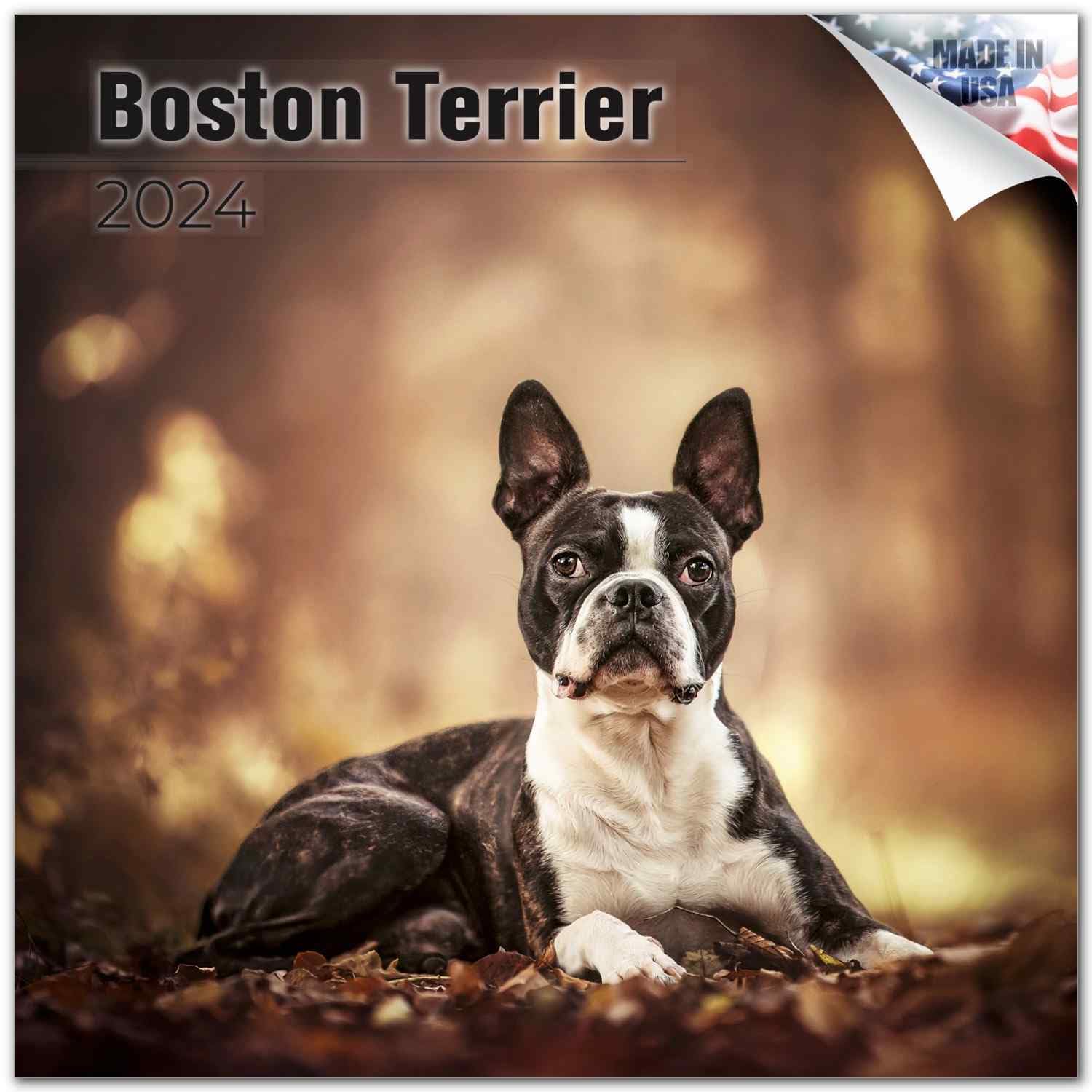 2023 2024 Boston Terrier Calendar - Dog Breed Monthly Wall Calendar - 12 x 24 Open - Thick No-Bleed Paper - Giftable - Academic Teacher's Planner Calendar Organizing & Planning - Made in USA