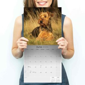 2023 2024 Airedale Calendar - Dog Breed Monthly Wall Calendar - 12 x 24 Open - Thick No-Bleed Paper - Giftable - Academic Teacher's Planner Calendar Organizing & Planning - Made in USA