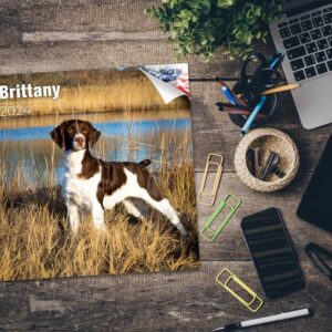 2023 2024 Brittany Spaniel Calendar - Dog Breed Monthly Wall Calendar - 12 x 24 Open - Thick No-Bleed Paper - Giftable - Academic Teacher's Planner Calendar Organizing & Planning - Made in USA