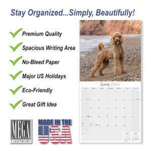 2023 2024 Poodle Calendar - Dog Breed Monthly Wall Calendar - 12 x 24 Open - Thick No-Bleed Paper - Giftable - Academic Teacher's Planner Calendar Organizing & Planning - Made in USA