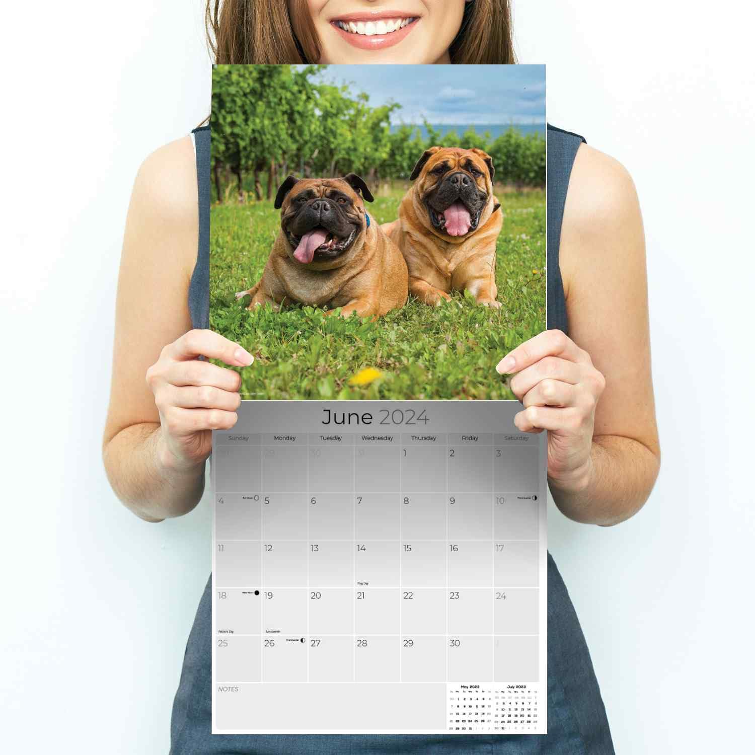 2023 2024 Bull Mastiff Calendar - Dog Breed Monthly Wall Calendar - 12 x 24 Open - Thick No-Bleed Paper - Giftable - Academic Teacher's Planner Calendar Organizing & Planning