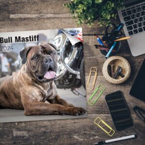 2023 2024 Bull Mastiff Calendar - Dog Breed Monthly Wall Calendar - 12 x 24 Open - Thick No-Bleed Paper - Giftable - Academic Teacher's Planner Calendar Organizing & Planning