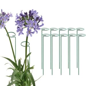 green 36 inch single stem plant stakes flower support rings, pack of 10,gardening planter cages for single stem flowers, amaryllis,peony, lily,narcissus