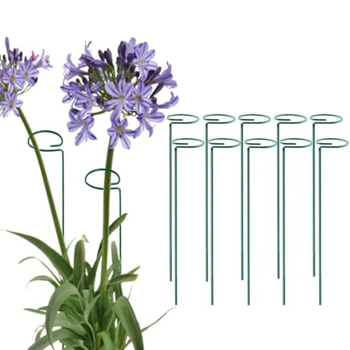 Green 36 inch Single Stem Plant Stakes Flower Support Rings, Pack of 10,Gardening Planter Cages for Single Stem Flowers, Amaryllis,Peony, Lily,Narcissus