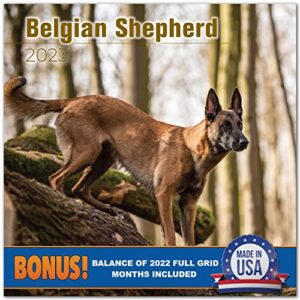 2023 2024 Belgian Shepherd Calendar - Dog Breed Monthly Wall Calendar - 12 x 24 Open - Thick No-Bleed Paper - Giftable - Academic Teacher's Planner Calendar Organizing & Planning - Made in USA