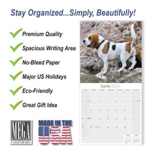 2023 2024 Beagle Calendar - Dog Breed Monthly Wall Calendar - 12 x 24 Open - Thick No-Bleed Paper - Giftable - Academic Teacher's Planner Calendar Organizing & Planning - Made in USA