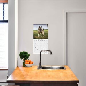 2023 2024 Norwegian Elkhound Calendar - Dog Breed Monthly Wall Calendar - 12 x 24 Open - Thick No-Bleed Paper - Giftable - Academic Teacher's Planner Calendar Organizing & Planning - Made in USA