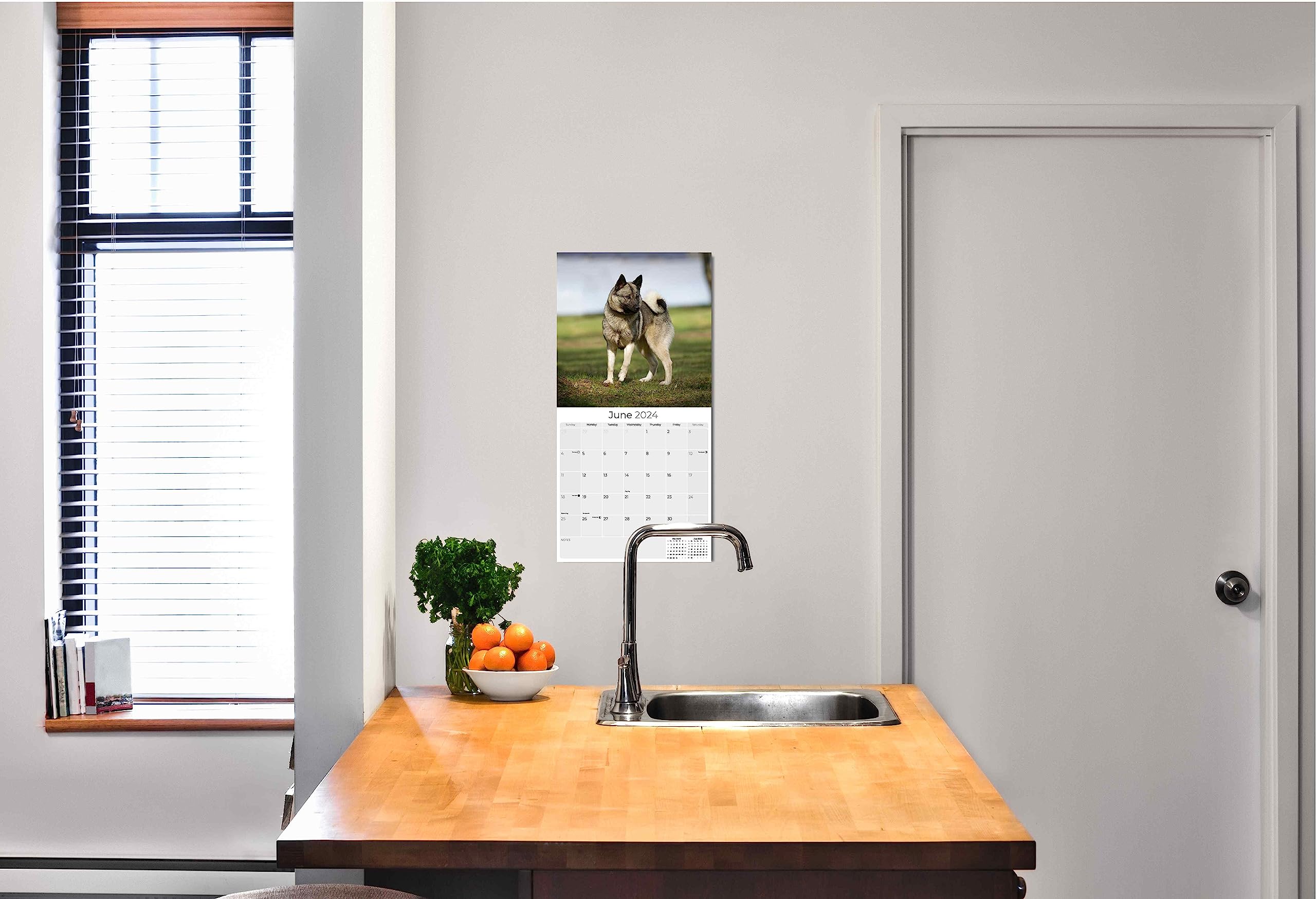 2023 2024 Norwegian Elkhound Calendar - Dog Breed Monthly Wall Calendar - 12 x 24 Open - Thick No-Bleed Paper - Giftable - Academic Teacher's Planner Calendar Organizing & Planning - Made in USA