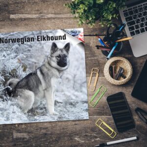 2023 2024 Norwegian Elkhound Calendar - Dog Breed Monthly Wall Calendar - 12 x 24 Open - Thick No-Bleed Paper - Giftable - Academic Teacher's Planner Calendar Organizing & Planning - Made in USA