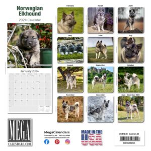 2023 2024 Norwegian Elkhound Calendar - Dog Breed Monthly Wall Calendar - 12 x 24 Open - Thick No-Bleed Paper - Giftable - Academic Teacher's Planner Calendar Organizing & Planning - Made in USA