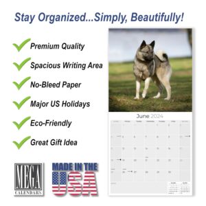 2023 2024 Norwegian Elkhound Calendar - Dog Breed Monthly Wall Calendar - 12 x 24 Open - Thick No-Bleed Paper - Giftable - Academic Teacher's Planner Calendar Organizing & Planning - Made in USA