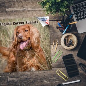 2023 2024 English Cocker Spaniel Calendar - Dog Breed Monthly Wall Calendar - 12 x 24 Open - Thick No-Bleed Paper - Giftable - Academic Teacher's Planner Calendar Organizing & Planning - Made in USA