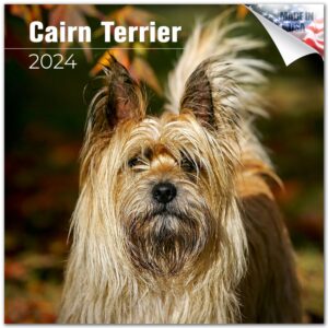 2023 2024 cairn terrier calendar - dog breed monthly wall calendar - 12 x 24 open - thick no-bleed paper - giftable - academic teacher's planner calendar organizing & planning - made in usa
