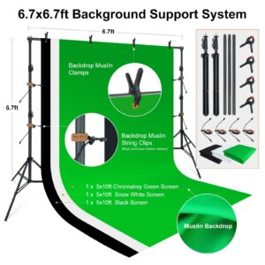 LINCO Lincostore Photo Video Studio Light Kit AM169 - Including 3 Color Backdrops (Black/White/Green) Background Screen