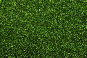 bachmann industries 32903 grass mat - meadow - for use with all scales grass mat, 100" x 50", meadow green