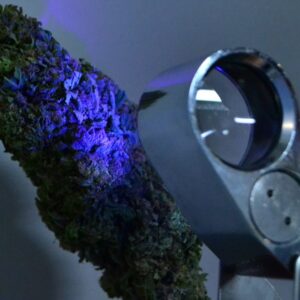 T-H-SEE - The Marijuana Magnifier