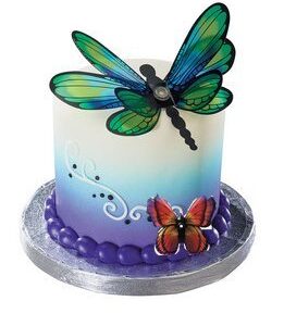 4" X 2" Round Cake Decoration Fake Cake Foam Dummy with Butterfly Cake Topper