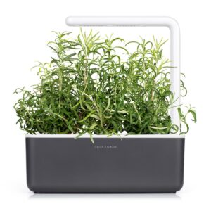 Click and Grow Smart Garden Rosemary Plant Pods, 3-Pack