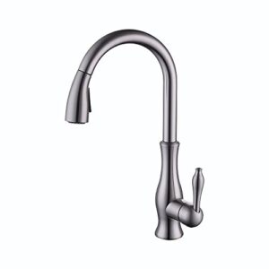 Weirun Kitchen Faucet Pull-Out Spray Head Replacement Part, Brushed Nickel