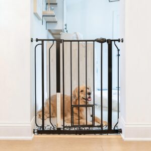 carlson extra tall walk through pet gate with small pet door, includes 4-inch extension kit, 4 pack pressure mount kit and 4 pack wall mount kit, black