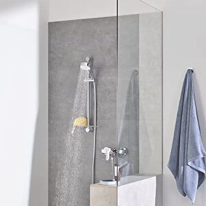 Grohe 27575002 Tempesta Cosmopolitan 2.5 GPM 4-Spray Hand Shower, Starlight Chrome