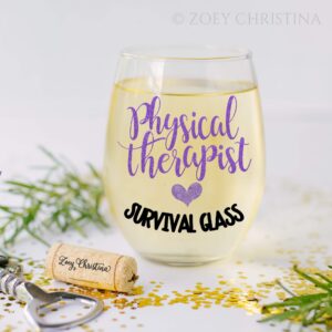 Funny Physical Therapist Christmas 2023 Gifts for Women Stemless Wine Survival Glass for Her 0027