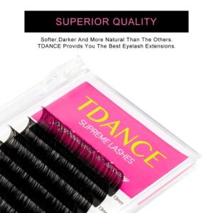 TDANCE Classic Lash Extensions Premium C CC D DD J B L Curl 0.03-0.18mm Thickness Semi Permanent Volume Eyelash Extensions Professional Salon Use Mixed 10-17mm Length In One Tray (D-0.05,10-17mm)