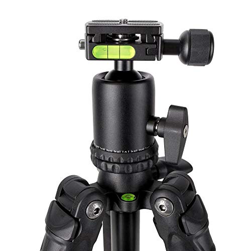 ProMaster Scout Series SC430 Tripod Kit with Head